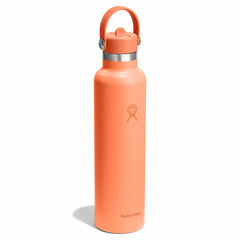 24 oz Standard Mouth with Flex Straw Cap