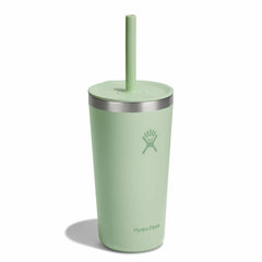 20 oz All Around™ Tumbler with Straw Lid